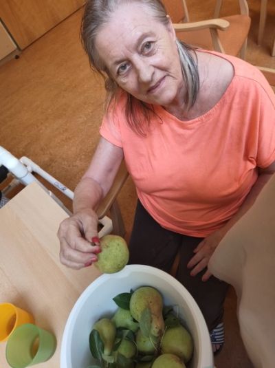 Apfel- und Birnenkompott eingekocht – Bild 3
